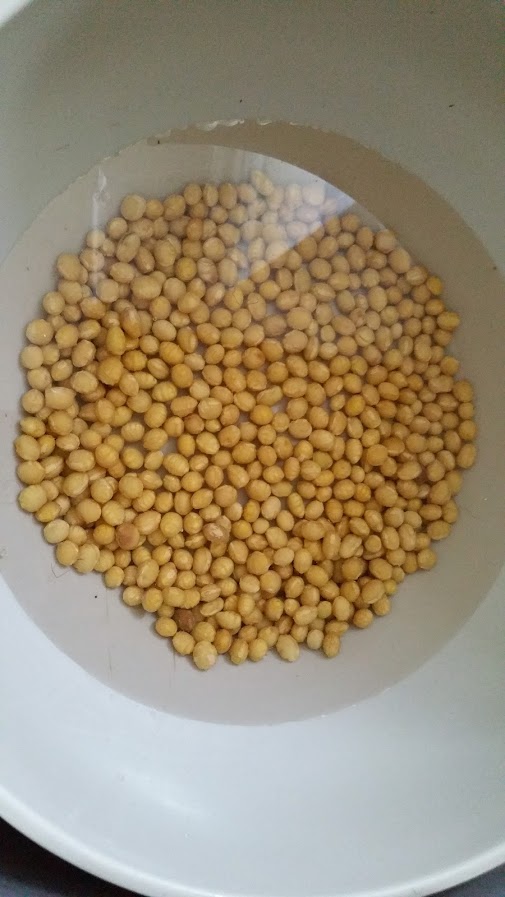 graines de soja non dépelliculées